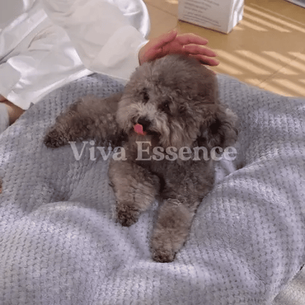 Calming Plush Haven Luxe Pet Bed