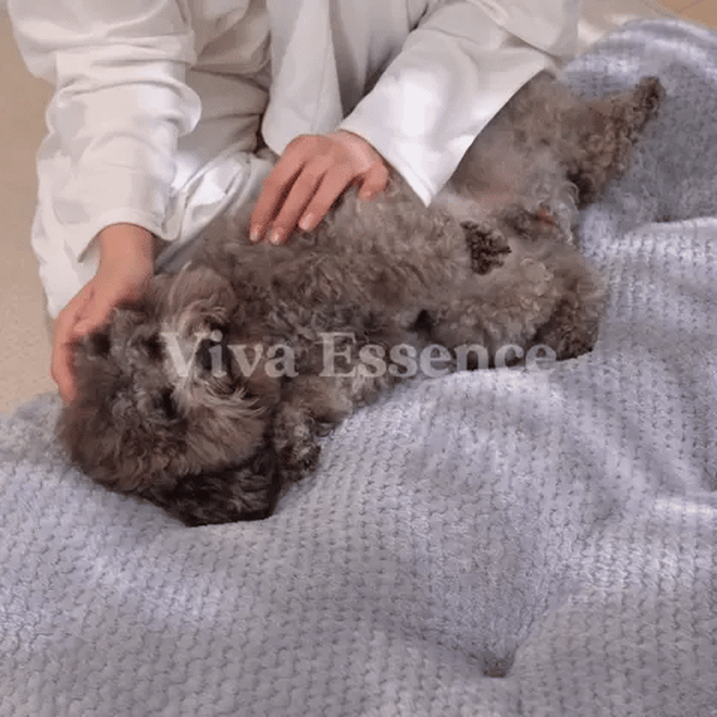 Calming Plush Haven Luxe Pet Bed