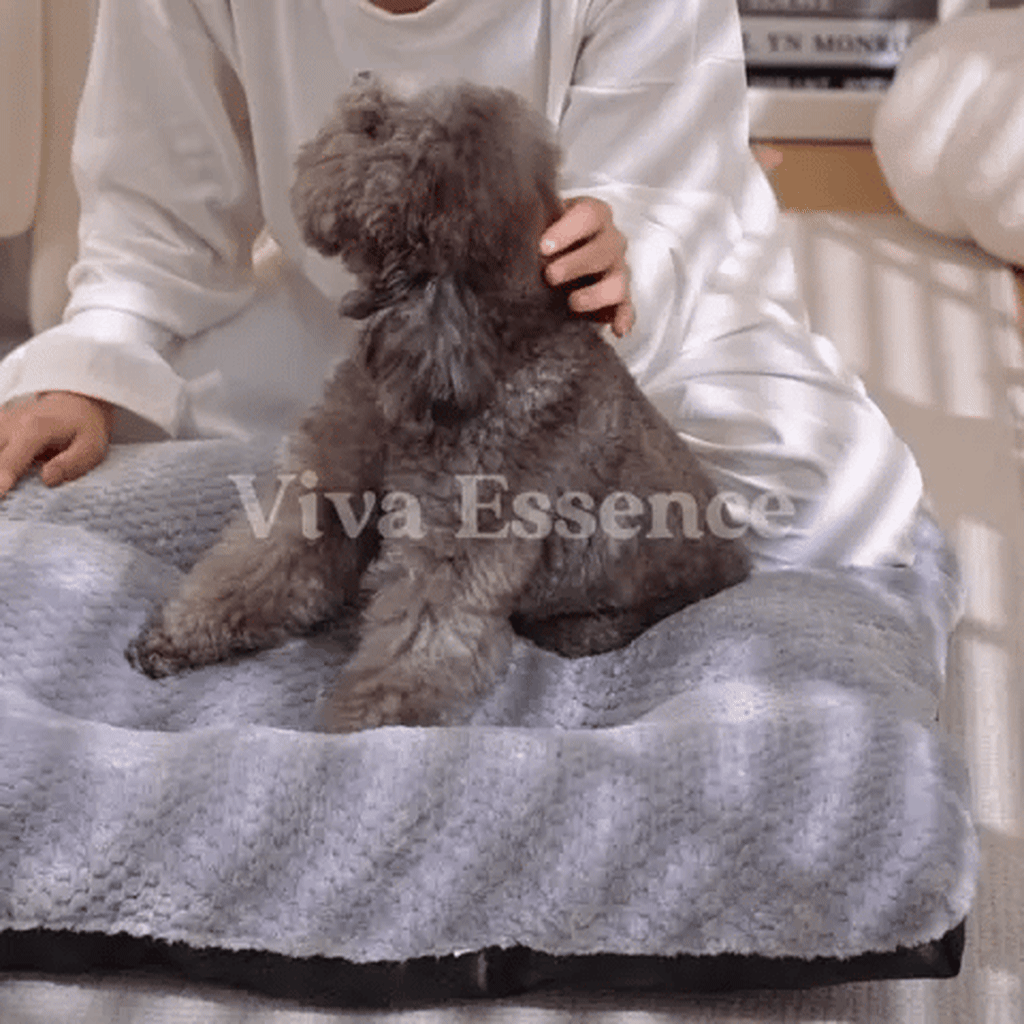 Calming Plush Haven Luxe Pet Bed