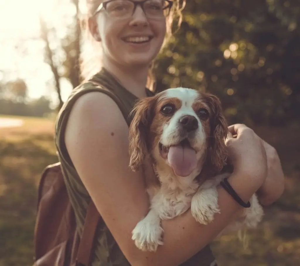 Calming Plush Haven Luxe Pet Bed