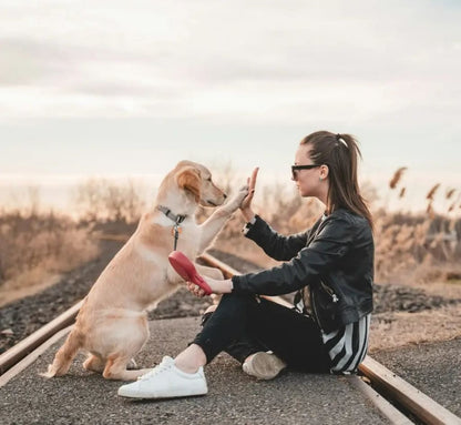 Calming Plush Haven Luxe Pet Bed